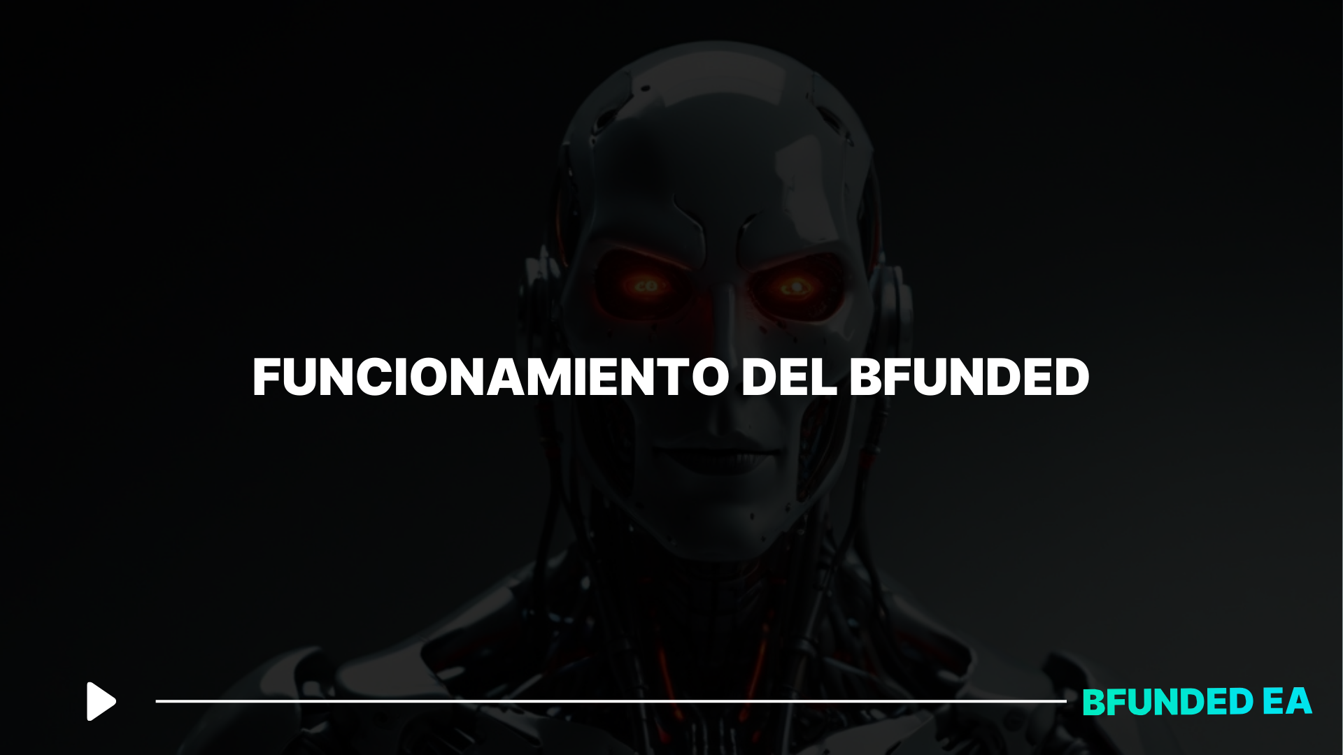 #2 – FUNCIONAMIENTO DEL BFUNDED EA